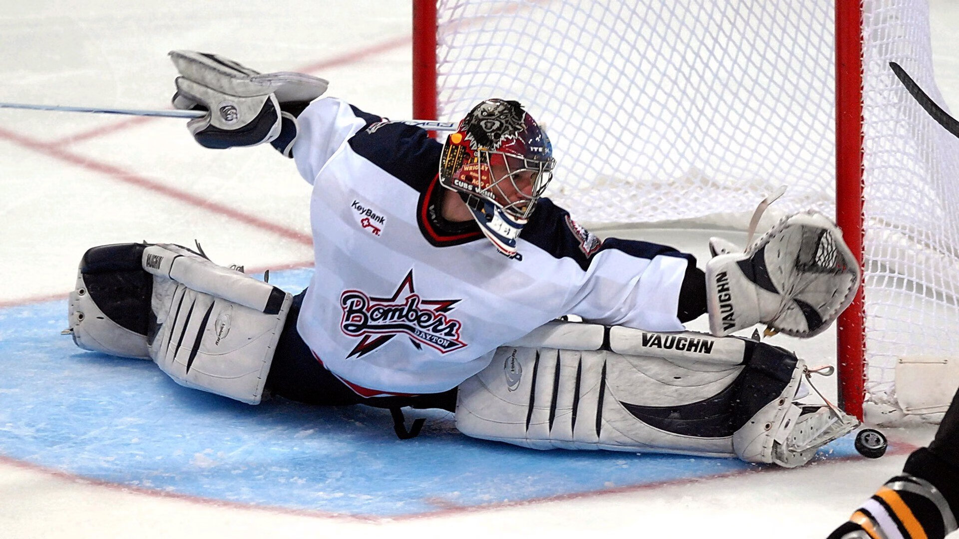 “荒野追逐：沙漠、山林的极限对抗”，荒野 沙漠